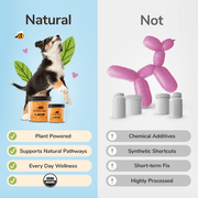kin+kind Organic Healthy Poops Supplement for Dogs & Cats (Medium) - 4 oz