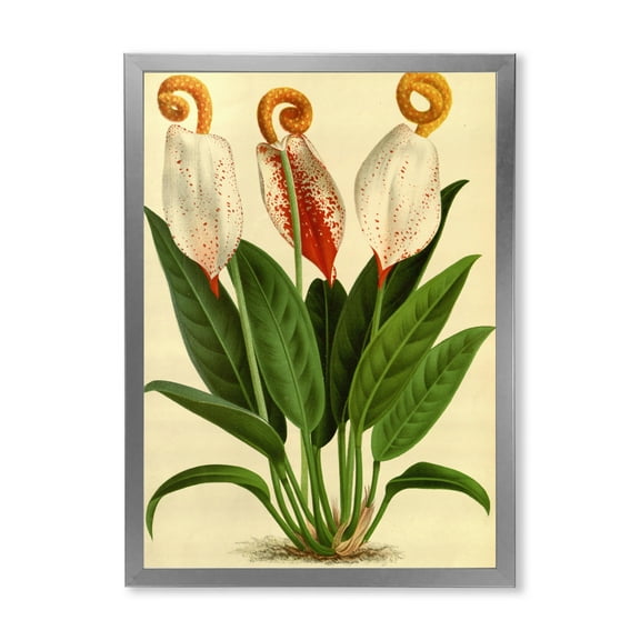 Designart 'Retro Wildflowers' Farmhouse Framed Art Print