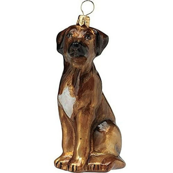 Rhodesian Ridgeback Dog Polish Glass Christmas Ornament Made Poland Decoration