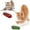 Red/Black/Green/Black/Blue/Green/Pink/Green, variant on 2Pcs Mini Electric Robot Beetle, Interactive Cat Toy Excites & Entices Cats Cuddling Chasing Fun - style:style2