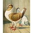 thumbnail image 3 of Gustav Prütz 12x14 Black Modern Framed Museum Art Print Titled - C. Brachyura Brm (1884-1886), 3 of 5