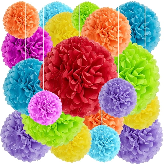 Tissue Paper Pom Poms Flower Large Tissue Paper Flowers for Fiesta Parties,Wedding, Birthday, Bridal Shower, Baby Shower Party Decorations 20pcs( 6,8,10,14 inch)