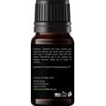 thumbnail image 5 of Handcraft Blends Peppermint Essential Oil - 100% Pure and Natural - Premium Grade Essential Oil for Diffuser and Aromatherapy - 0.33 Fl Oz, 5 of 5