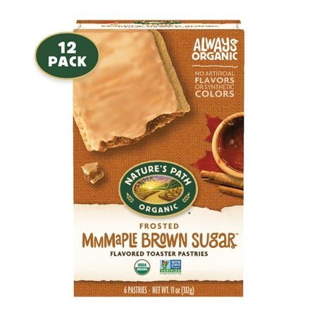 Nature's Path Organic Maple Brown Sugar Cinnamon Frosted Toaster Pastries 11oz Box