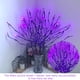 thumbnail image 5 of Cateissary Tree Branches 20 LED Light Living Room Lamp String Decoración de Año Nuevo Powered Home Decor Warm White Silver Iluminación y accesorios Púrpura Cateissary HA011028-06, 5 of 6