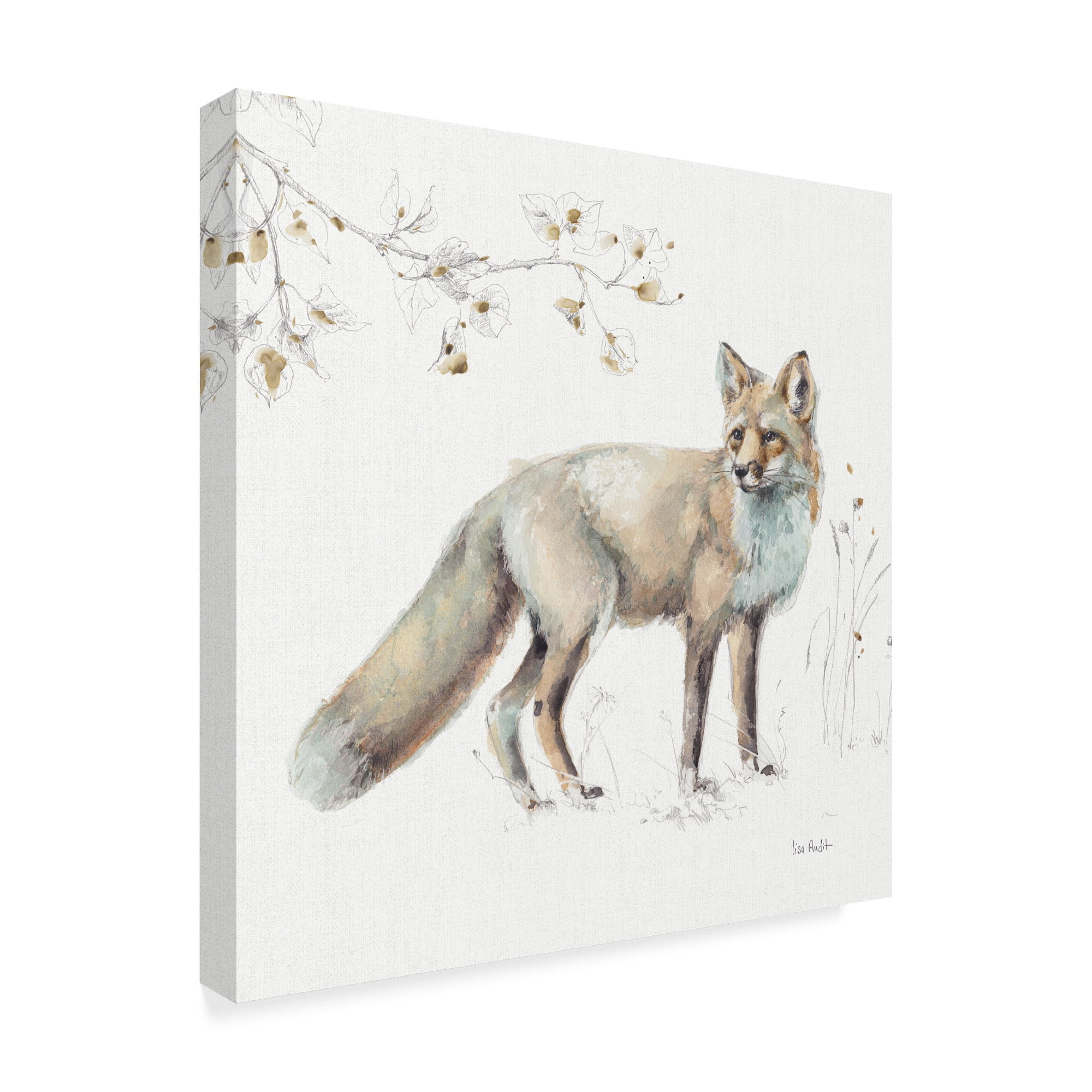 Trademark Fine Art 'Woodland Walk XI Fox' Canvas Art by Lisa Audit