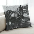 thumbnail image 1 of Ahgly Company Animals Zebra Indoor Throw Pillow, 18 inch by 18 inch, 1 of 6