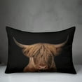 thumbnail image 3 of Creative Products Moody Highland Cow 20 x 14 Spun Poly Pillow, 3 of 3