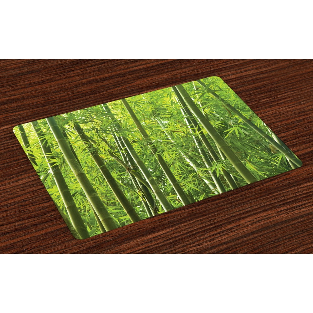 Bamboo Placemats Set of 4 Exotic Tropical Bamboo Forest with Fresh Color Asian Nature Wild Trees