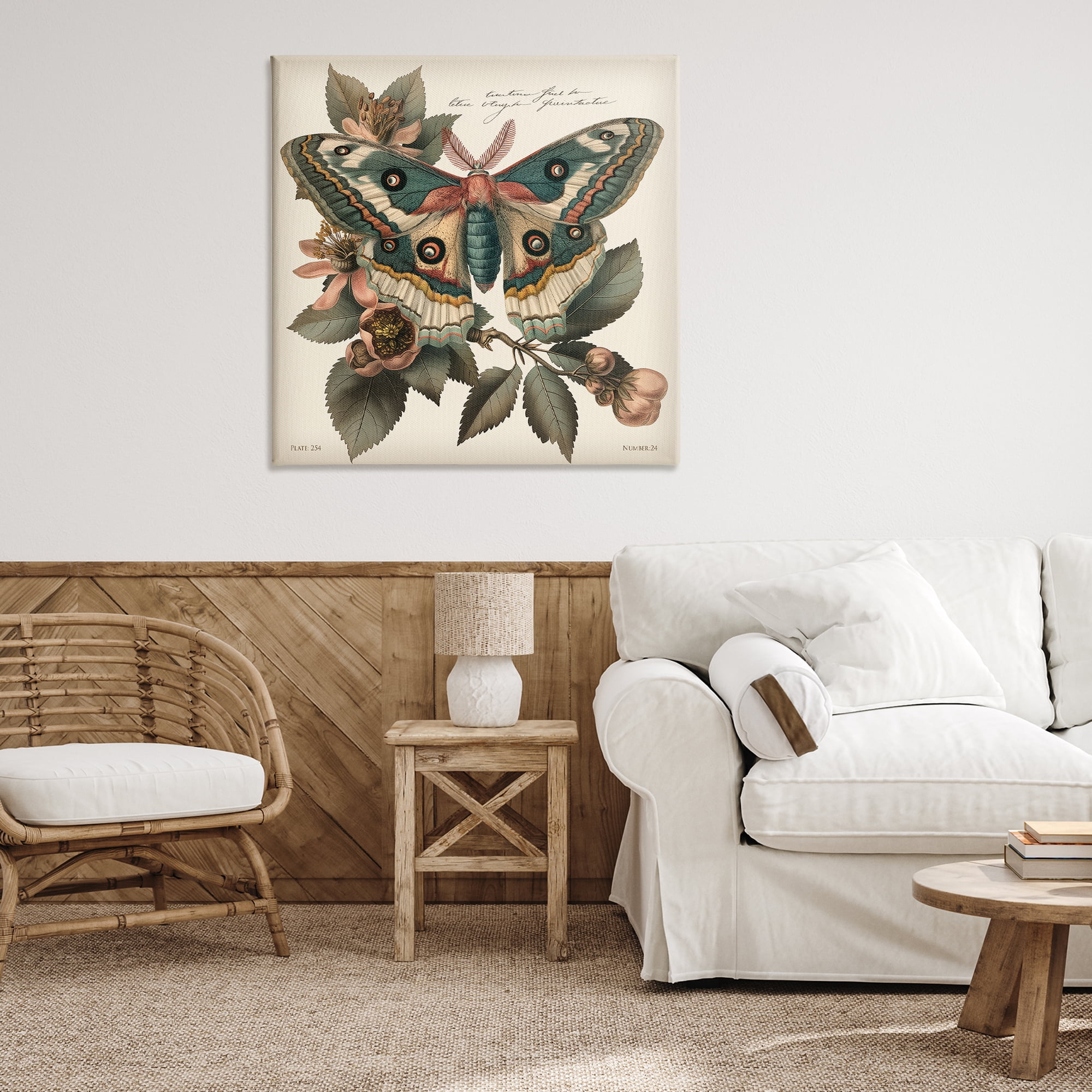 Stupell Industries Green Patterned Moth Animals Painting Wrapped Canvas Art Print Wall Art, 36 x 36