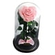 thumbnail image 3 of Plantas Flores Artificiales, Rosas Preservada, Cúpula de Cristal Rosado, 3 of 9