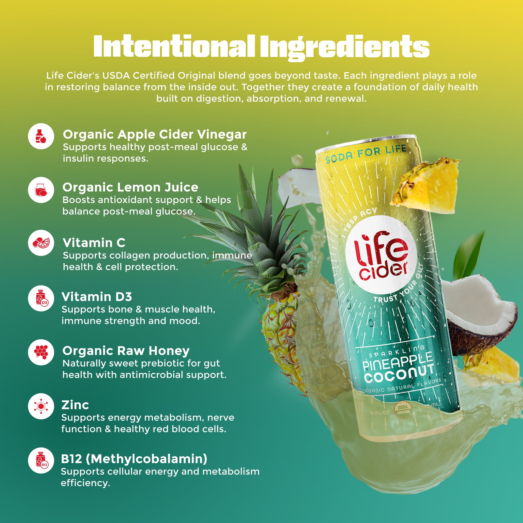 Life Cider Sparkling Apple Cider Vinegar Drink, Pineapple Coconut, Gut Balance, 12 Pack, 12 fl oz Aluminum Can