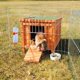 thumbnail image 2 of Refugio exterior de madera Pet House TRIXIE para mascotas pequeñas, 2 of 6
