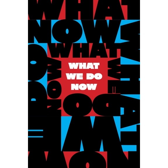 What We Do Now: Standing Up for Democracy in America, (Paperback)