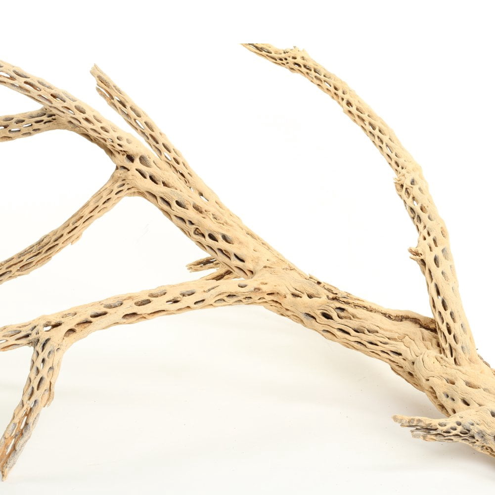Koyal Wholesale 24" Cholla Wood Aquarium Driftwood for Gecko, Hermit Crab & Shrimp