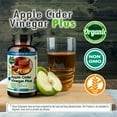 thumbnail image 4 of TrueMed Organic Apple Cider Vinegar Capsules Plus Ginger, Cinnamon & Turmeric | Digestive Support, Metabolism Support, Gut Health, Non-GMO, Gluten-Free Apple Cider Vinegar Supplement, 650 mg, 60 Veg, 4 of 7