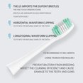 thumbnail image 5 of Limpiador de dientes ultrasónico eléctrico Cepillo de dientes sónico Raspador dental recargable Eliminador de manchas de sarro Blanqueador de dientes, 5 of 5