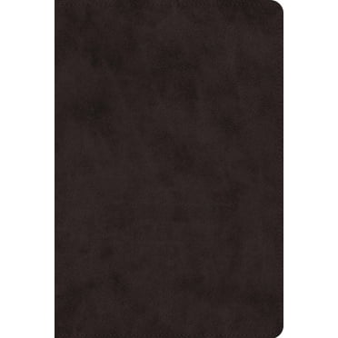 ESV Giant Print Value Thinline Bible (Trutone, Black), (Hardcover)