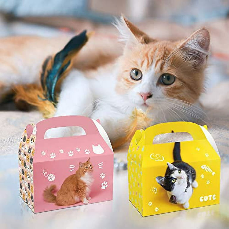 Cat goodie box sale