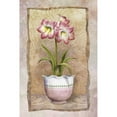 thumbnail image 3 of White, Abby 17x24 Black Modern Framed Museum Art Print Titled - Spring Amaryllis, 3 of 5