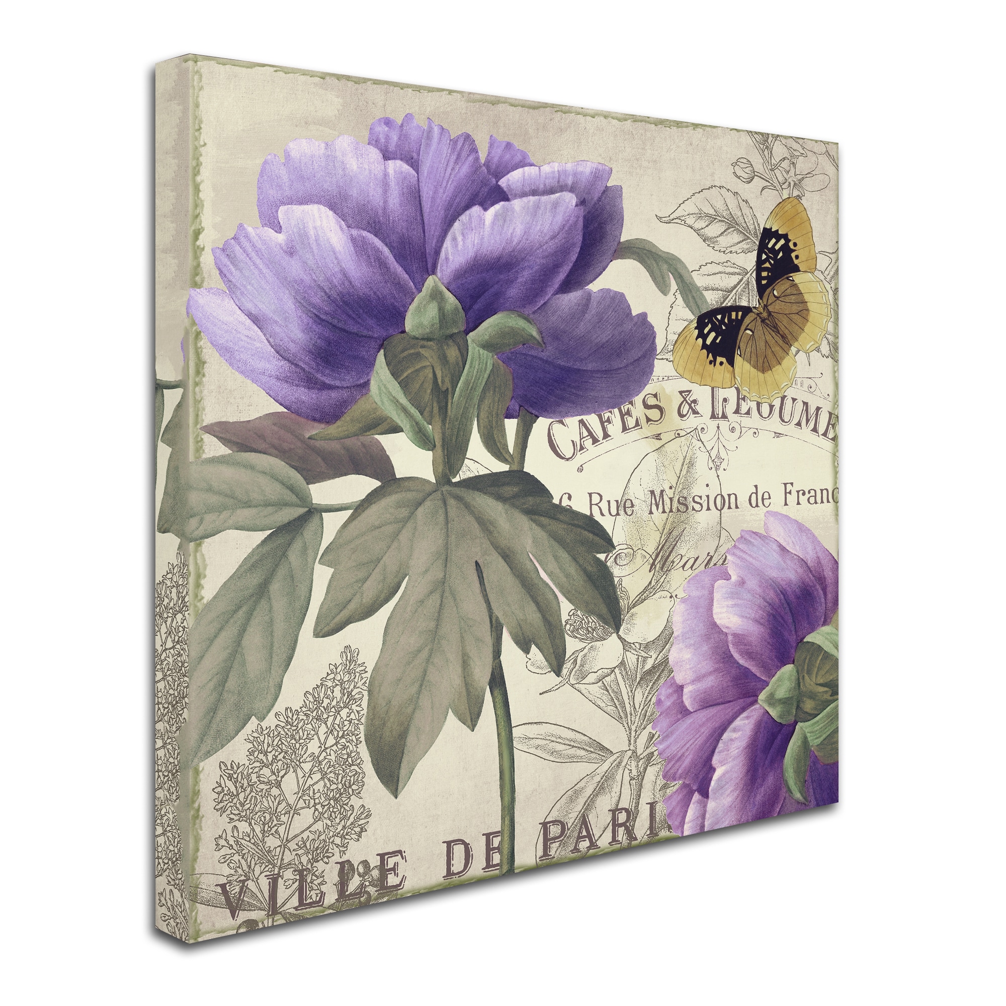Trademark Fine Art "Petals of Paris IV" Canvas Art by Color Bakery
