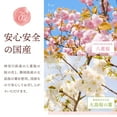 thumbnail image 4 of Yamasan Japanese Sakura Cherry Blossom Powder for Drinks & Baking, 1.4oz, 4 of 6