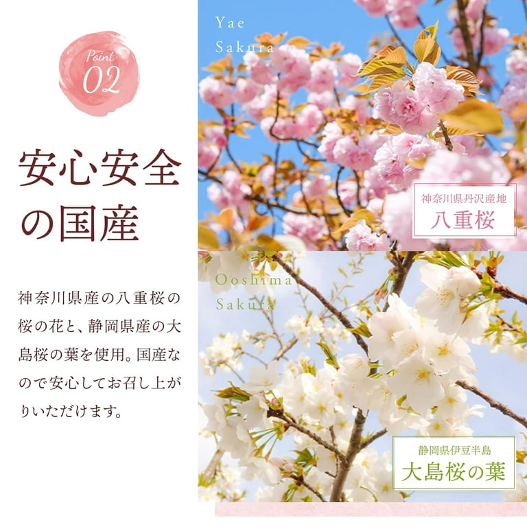 FRESHWATER ＆ JAPANESE CHERRY BLOSSOM Sakura - Japanese Cherry Blossoms - for Nintendo Switch