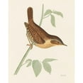 thumbnail image 3 of Wild Apple Portfolio 15x18 Black Modern Framed Museum Art Print Titled - Engraved Birds I, 3 of 5