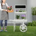 thumbnail image 3 of 2-Tier Plant Display Stand with Chalkboard and Wheels, 49inch Tall Flower Cart Display Stand for Display Various Flowers, Potted Plants, Made of Fir Wood, White, 3 of 11