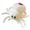 B001- Multicolor, variant on Stuffed Spiders Plush Dolls, Cute Stuffed Animal, Halloween Decorations, Halloween Gift, 10 Inch Soft Tarantula Plush for Bedroom and Desk Display