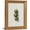Olive Skewers, variant on Gold Framed Wall Art Vintage Butterfly Canvas Wall Art White Moth Moody Rustic Insect Artwork Prints Picture for Living Room Bedroom Farmhouse Bathroom Office Decor, 11" L x 9" W