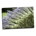 thumbnail image 2 of Gango Home Decor Lavender Bunches II by Dana Styber (Ready to Hang); One 36x24in Hand-Stretched Canvas, 2 of 4