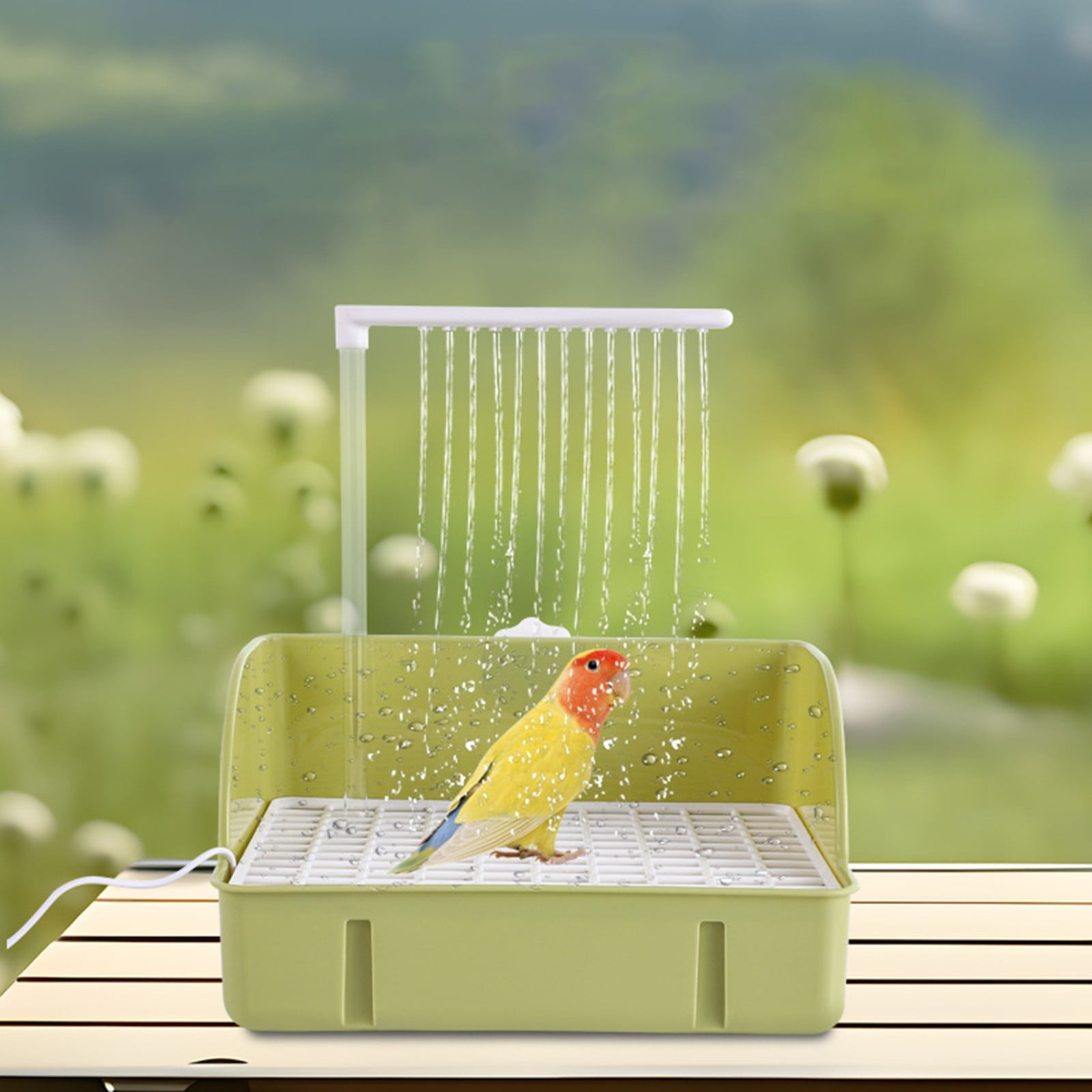 Parrot Shower Basin with Automatic Circulation - Bago Bird Shower, Sun, Xuan Bird, Large, White - for Pet Bird Bathing