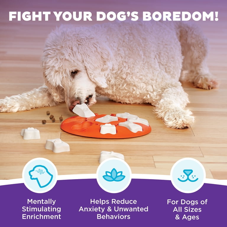 Interactive Treat Puzzle Toy for Dogs photo 2