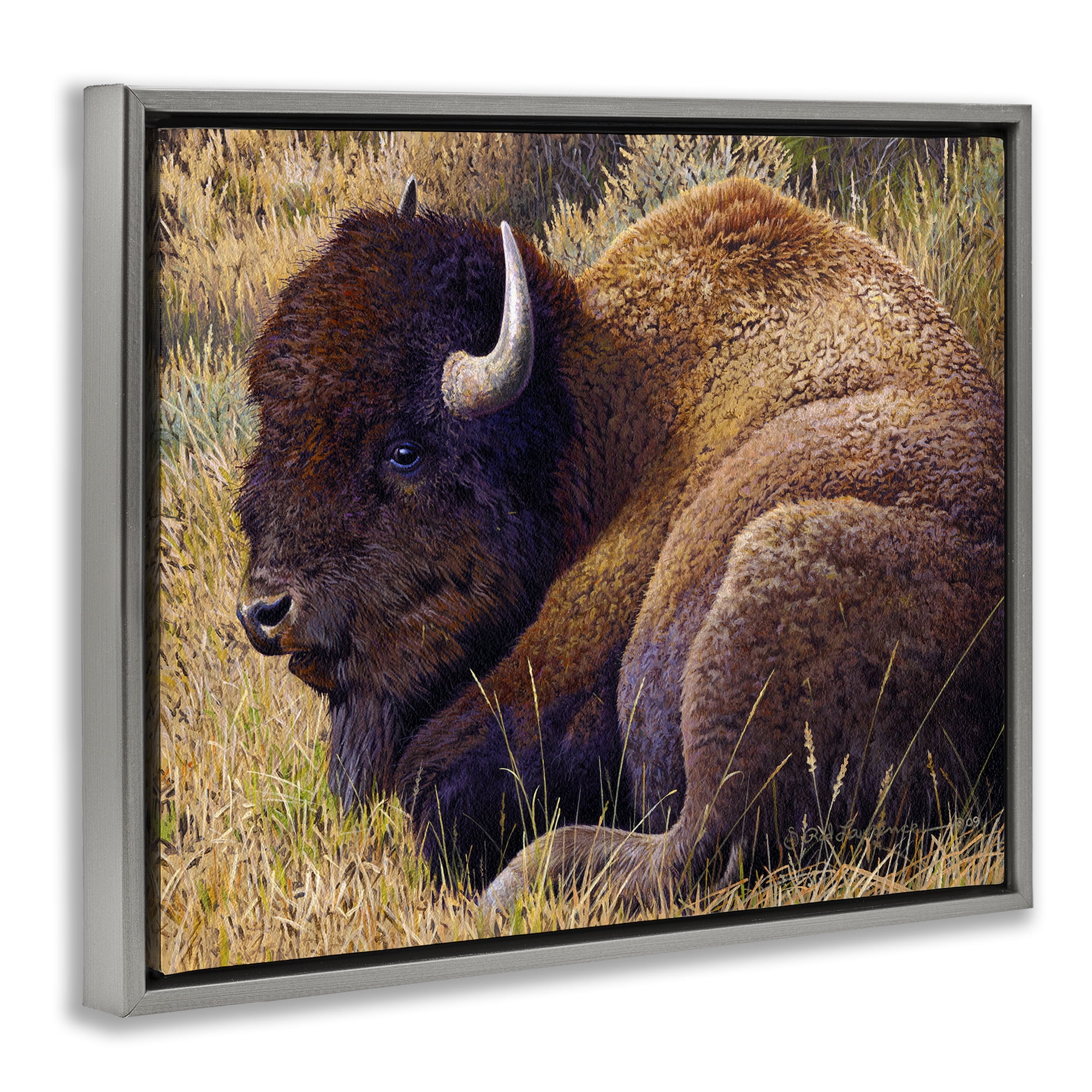 Stupell Industries Relaxing Young Bison Animals Painting Gray Floater Framed Canvas Art Print Wall Art, 21 x 17