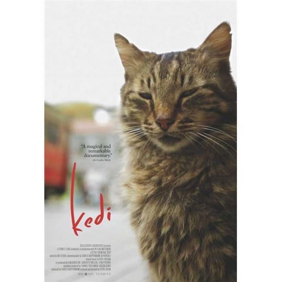 Pop Culture Graphics MOVGB93455 Kedi Movie Poster, 11 x 17