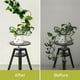 thumbnail image 3 of Kit de soporte para plantas de servicio pesado | Enrejado de plantas trepadoras de bricolaje con 18 anillos hexagonales y 6 ganchos | Rejilla de hierro resistente a la intemperie para la decoración, 3 of 6