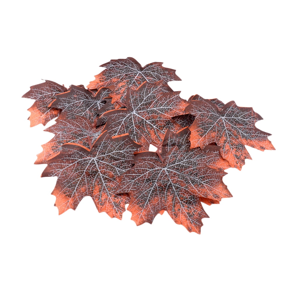 Feuilles De Longane Séchées Pour Aquarium/terrarium - Lot De 50 - Naturelles, Libèrent Des Tanins - Pour Poissons, Tortues, Reptiles - 13