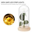 thumbnail image 4 of Lámpara De Rosa Romántica Con Cubierta De Cristal Doom Base De Madera Hecha A Mano Luz De Rosa Para Siempre Para El Día De San Valentín Día De La Madre matsuzay HA020932-00, 4 of 5