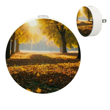 

YZUOUZY Night Light Small Lamp Small Bedside Lamps Set of 2 Grassland Fallen Leaves Plants