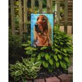 thumbnail image 2 of Carolines Treasures 7314GF Irish Setter en Drapeau Bleu Taille Jardin, 2 of 3