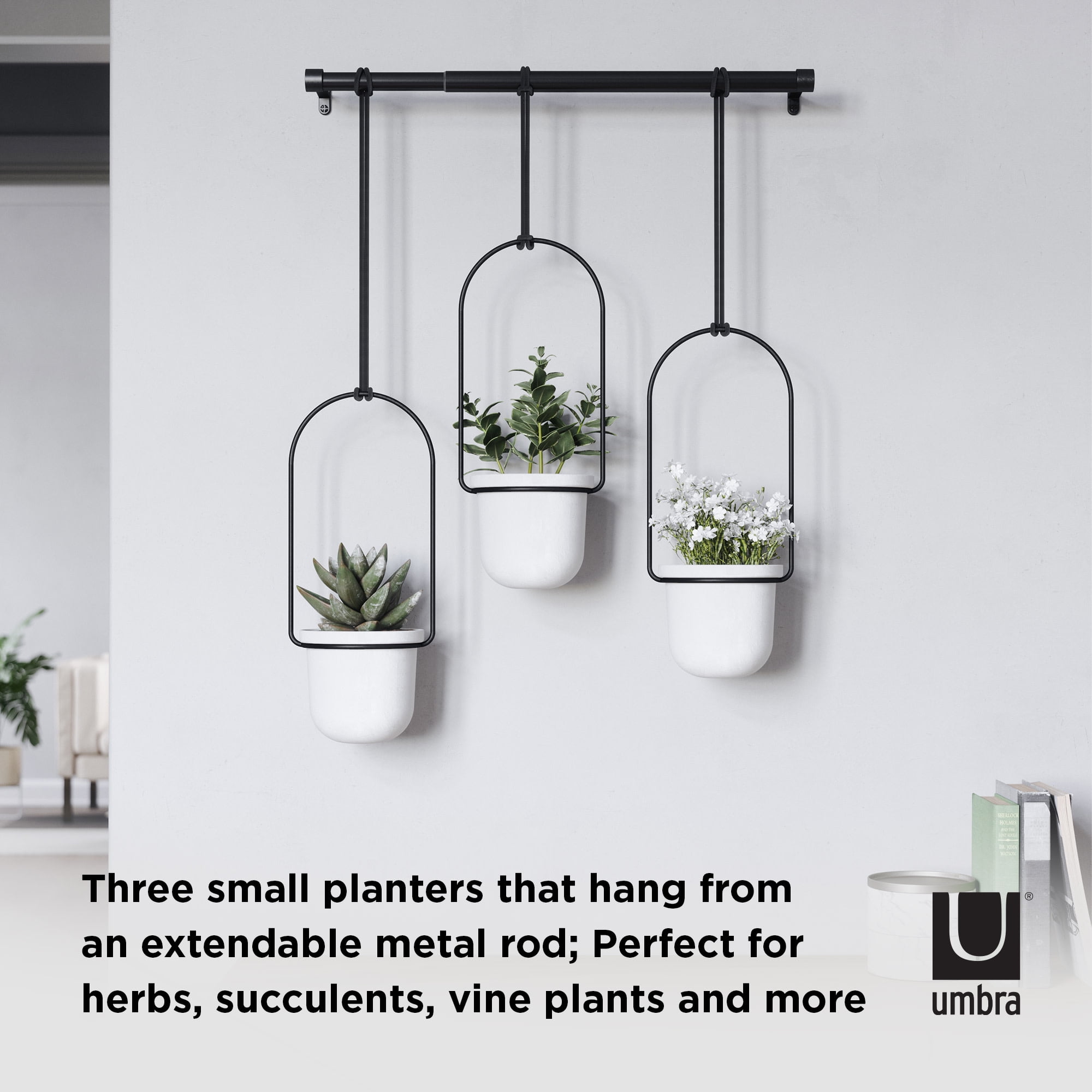 Umbra Triflora 3 Hanging Wall Planter