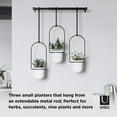 thumbnail image 4 of Umbra Triflora 3 Hanging Wall Planter, 4 of 14