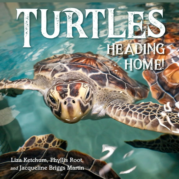 Turtles Heading Home!, (Hardcover)