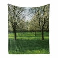 thumbnail image 1 of Tree Soft Flannel Fleece Throw Blanket, Cherry Blossoms View in Spring Season, Cozy Plush for Indoor and Outdoor Use, 50" x 60", Lime Green Dark Brown, by Ambesonne, 1 of 5