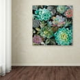 thumbnail image 3 of Danhui Nai 'Floral Succulents v2 Crop' Canvas Art, 3 of 4