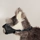 thumbnail image 4 of Bozal para perro, XL, ajustable, suave, protector bucal para perro, evita comer, evita ladrar con gancho y para perro para exteriores, 4 of 8