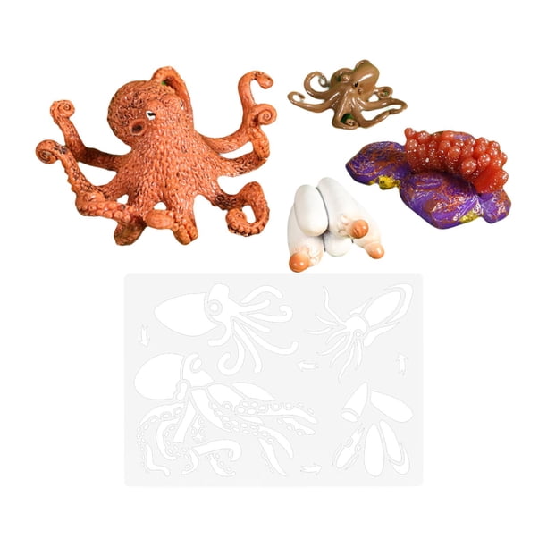 Figuras de Animales Realistas perfke Pulpo Herramientas de Enseñanza Preescolar Ciclo Vital