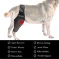 thumbnail image 4 of Dog Recovery Sleeve Front Rear Leg Support Brace For Injury Sprain Relieve Pain, 4 of 4