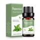 thumbnail image 1 of Aromaterapia de aceite soluble en agua de aromaterapia adecuada para humidificador 10 ml, 1 of 5